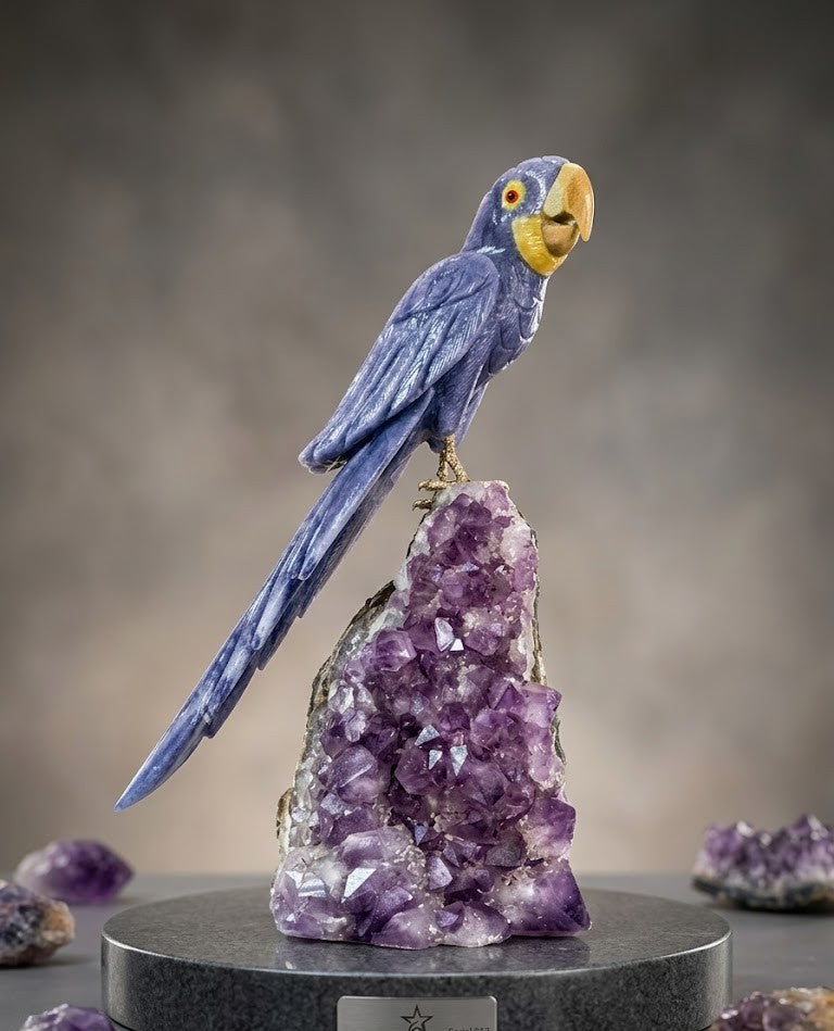 Arara Azul