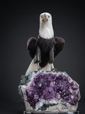 Condor