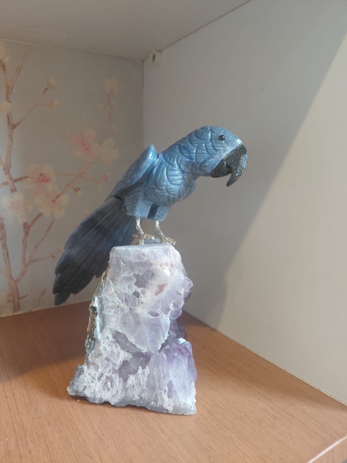 Papagaio Azul