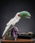Tucano Branco